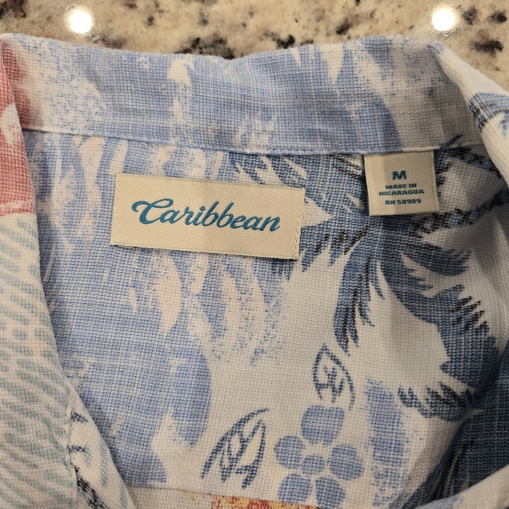 Caribbean ๐น๐ - Picture 5 of 6
